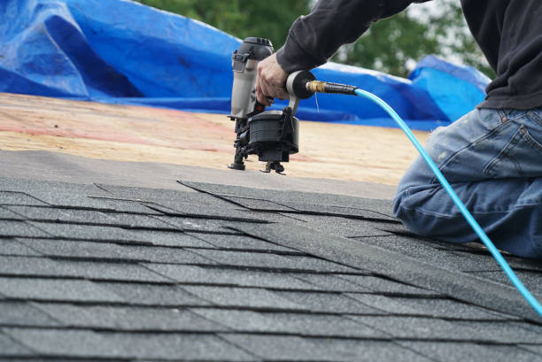 Best Metal Roofing Contractor  in Blue Grass, IA